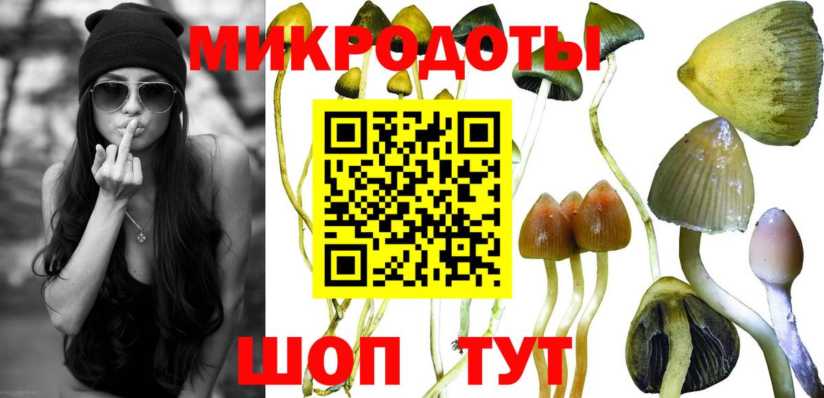Псилоцибиновые грибы ЛСД  Вход с VPN  Курганинск 